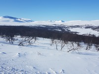 Kesudalen med Helagsfjället och Sylarna i bakgrunden